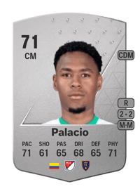 Nelson Palacio Common 71 OVR