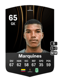 Luis Miguel Marquines CONMEBOL Libertadores 65 OVR