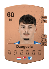 Eldin Dzogovic Common 60 OVR
