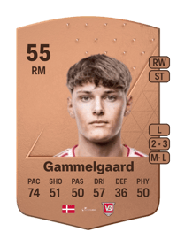 Christian Gammelgaard Common 55 OVR