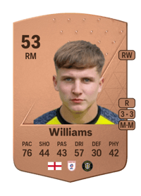 Brad Williams Common 53 OVR