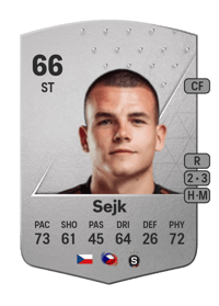 Václav Sejk Common 66 OVR