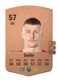 Sebastian Selin Common 57 OVR