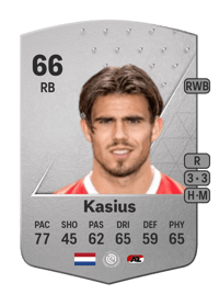 Denso Kasius Common 66 OVR