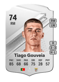 Tiago Gouveia Rare 74 OVR