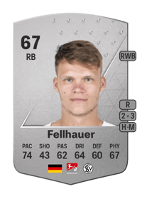 Robin Fellhauer Common 67 OVR