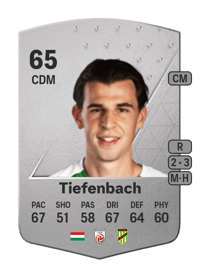 Daniel Tiefenbach Common 65 OVR