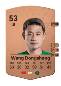 Wang Dongsheng Common 53 OVR