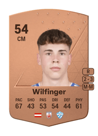 Fabian Wilfinger Common 54 OVR