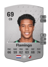 Ryan Flamingo Common 69 OVR