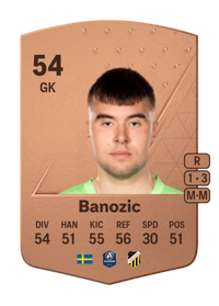 Sebastian Banozic Common 54 OVR