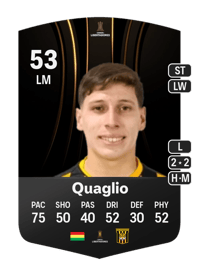 Fabricio Quaglio CONMEBOL Libertadores 53 OVR