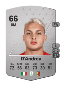 Luca D'Andrea Common 66 OVR
