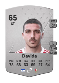 Osher Davida Common 65 OVR