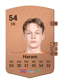 Simen Vatne Haram Common 54 OVR