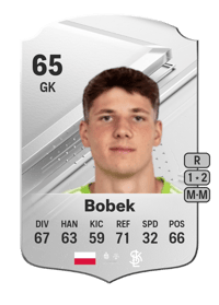 Aleksander Bobek Rare 65 OVR
