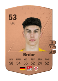 Noah Brdar Common 53 OVR