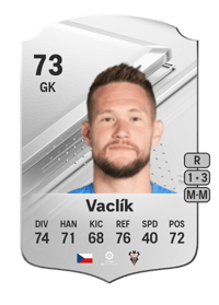 Tomáš Vaclík Rare 73 OVR