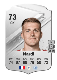 Paul Nardi Rare 73 OVR