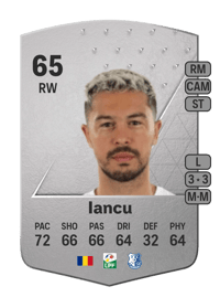 Gabriel Iancu Common 65 OVR