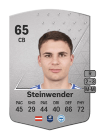 Michael Steinwender Common 65 OVR