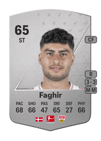 Wahid Faghir Common 65 OVR