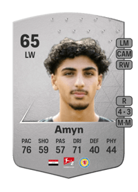 Youssef Amyn Common 65 OVR
