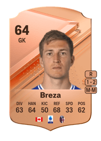 Sebastian Breza Rare 64 OVR