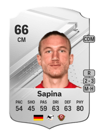 Vinko Sapina Rare 66 OVR