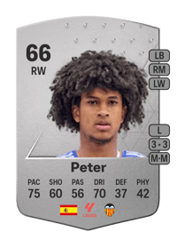 Peter Common 66 OVR