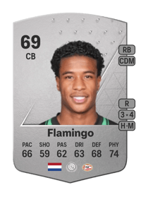 Ryan Flamingo Common 69 OVR