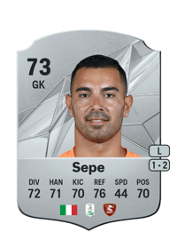 Luigi Sepe Rare 73 OVR