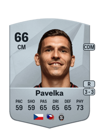 David Pavelka Common 66 OVR