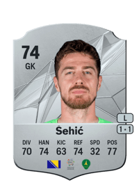 Ibrahim Šehić Rare 74 OVR