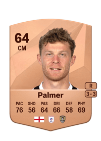 Matt Palmer Common 64 OVR