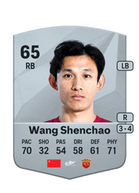 Wang Shenchao Common 65 OVR