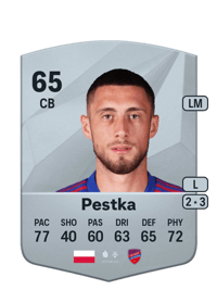 Kamil Pestka Common 65 OVR