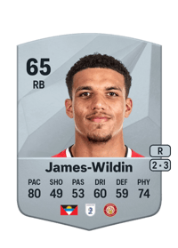 Luther James-Wildin Common 65 OVR