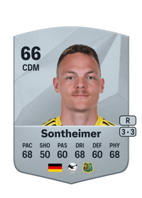 Patrick Sontheimer Common 66 OVR