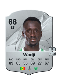 Ibrahima Wadji Rare 66 OVR