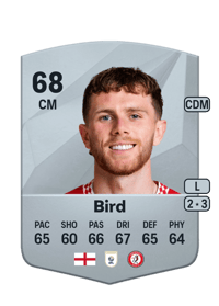 Max Bird Common 68 OVR