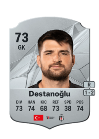 Ersin Destanoğlu Rare 73 OVR