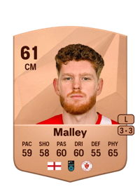 Connor Malley Common 61 OVR