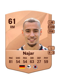 Suheyel Najar Common 61 OVR