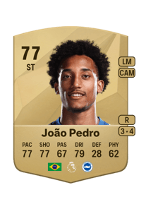 João Pedro Common 77 OVR