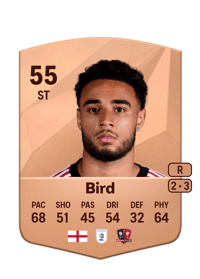 Jay Bird Common 55 OVR