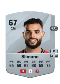 Anis Slimane Common 67 OVR