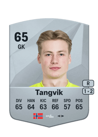 Sander Tangvik Common 65 OVR