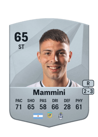Ivo Mammini Common 65 OVR