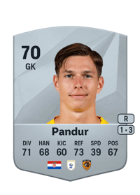 Ivor Pandur Common 70 OVR